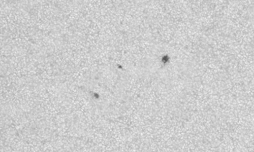 2025年8月28日（活動領域14198）