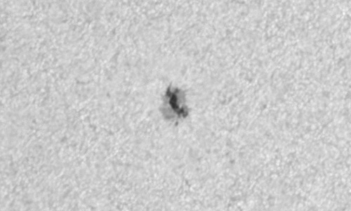 2025年9月3日（活動領域14205）