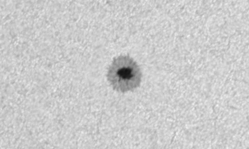 2025年9月3日（活動領域14206）