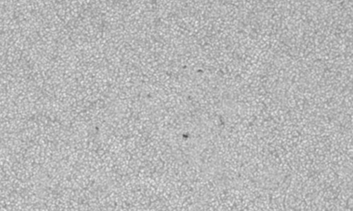 2025年9月5日（活動領域14205）