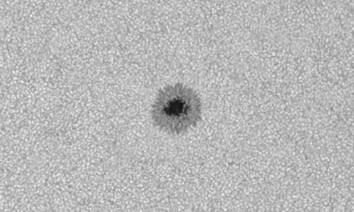 2025年9月5日（活動領域14206）