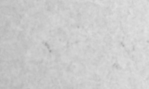 2025年9月16日（活動領域14222）