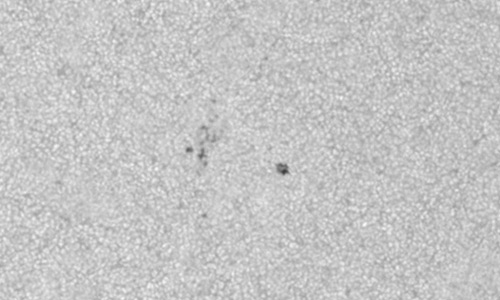 2025年9月28日（活動領域14228）