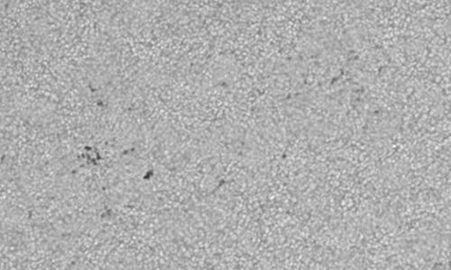 2025年10月2日（活動領域14233）