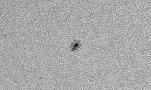 2025年10月2日（活動領域14235）