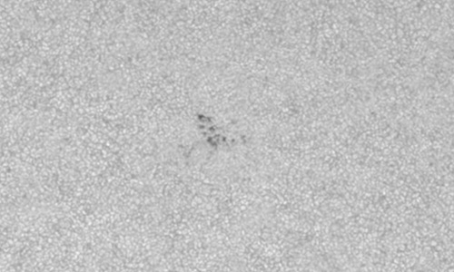 2025年10月4日（活動領域14233）