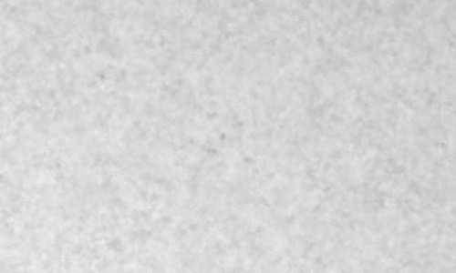 2025年10月5日（活動領域14233）