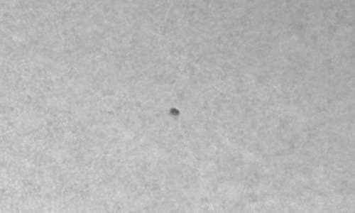 2025年10月6日（活動領域14235）