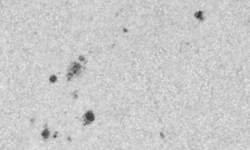 2025年10月6日（活動領域14241）
