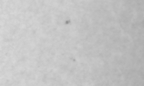 2025年10月9日（活動領域14242）