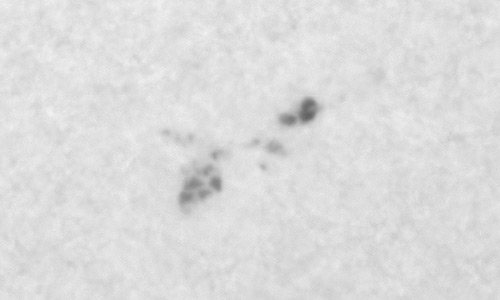 2025年10月9日（活動領域14247）