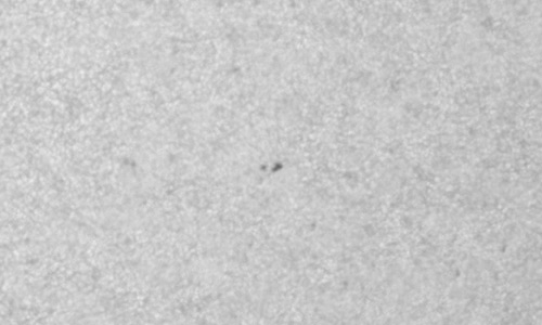 2025年10月23日（活動領域14255）