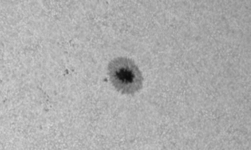 2025年11月12日（活動領域14275）