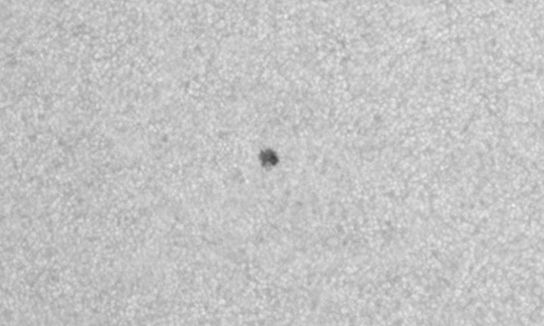 2025年11月24日（活動領域14289）