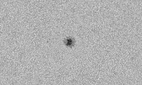 2025年11月25日（活動領域14287）