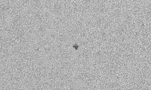 2025年11月25日（活動領域14289）