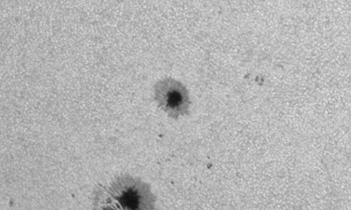 2025年11月25日（活動領域14290）