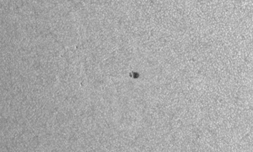 2025年11月25日（活動領域14293）