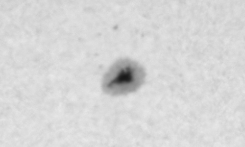 2025年11月27日（活動領域14288）