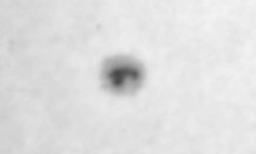 2026年1月6日（活動領域14334）