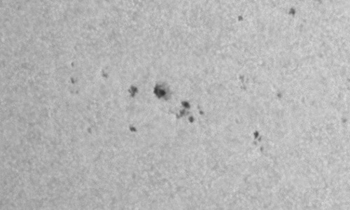 2026年1月18日（活動領域14345）