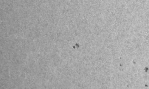 2026年1月18日（活動領域14346）