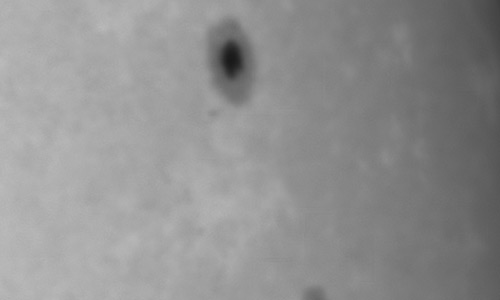 2026年1月25日（活動領域14342）