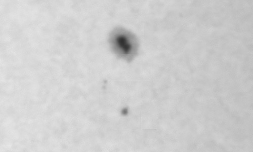 2026年1月25日（活動領域14347）