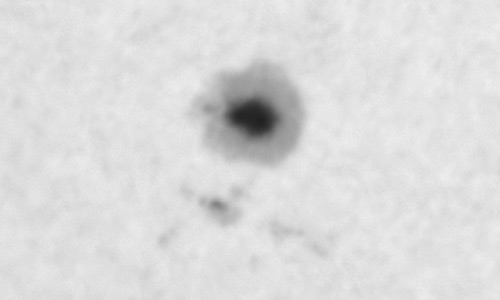 2026年1月25日（活動領域14349）