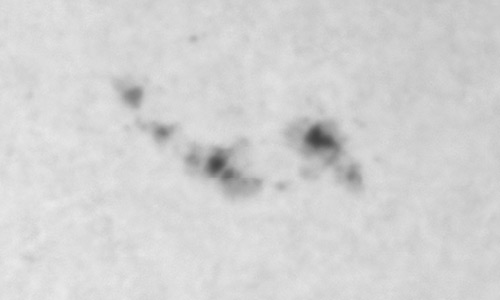 2026年1月25日（活動領域14353）