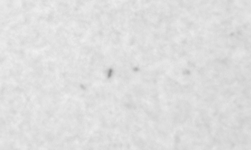 2026年1月25日（活動領域14354）