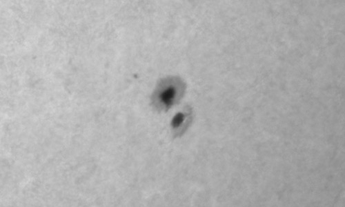 2026年1月29日（活動領域14349）