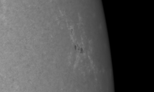 2026年1月29日（活動領域14353）