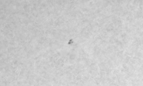 2026年1月29日（活動領域14359）