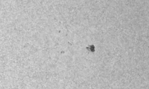 2026年2月4日（活動領域14358）