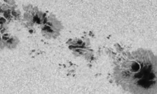 2026年2月4日（活動領域14366）