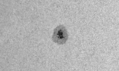 2026年2月4日（活動領域14368）