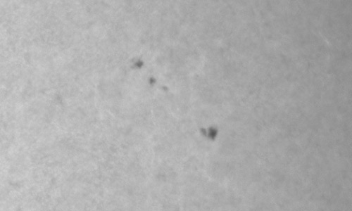 2026年2月5日（活動領域14358）