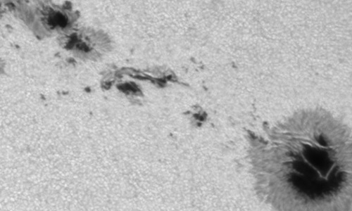 2026年2月5日（活動領域14366）