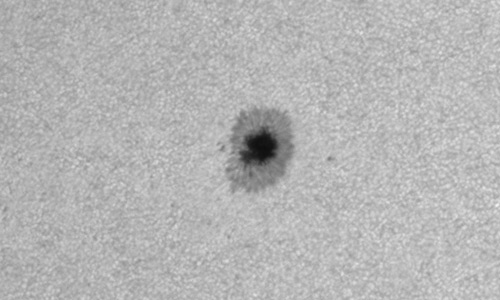 2026年2月5日（活動領域14369）