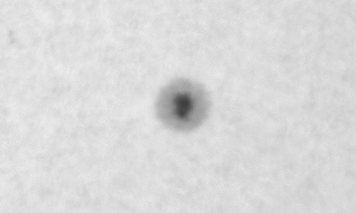 2026年2月8日（活動領域14368）