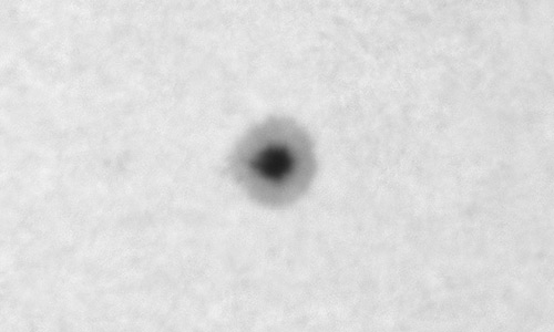 2026年2月8日（活動領域14369）