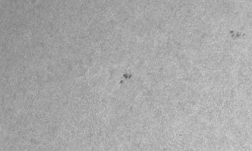 2026年3月11日（活動領域14391）