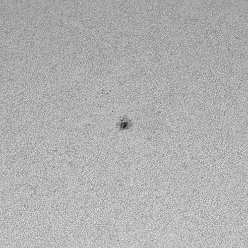 “2021年3月27日に撮影された太陽黒点”